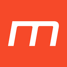 Logo Multiplayer.it
